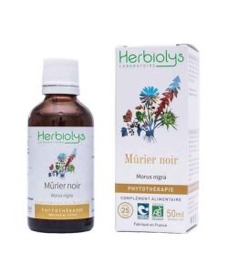 Mûrier noir - Extrait de plante fraiche 50mL BIO, 50 ml